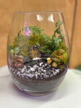 Load image into Gallery viewer, DIY Terrarium Kit