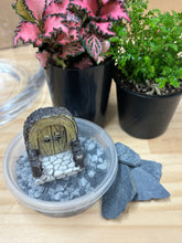 Load image into Gallery viewer, DIY Terrarium Kit