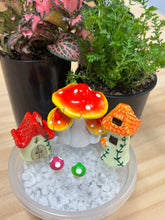 Load image into Gallery viewer, DIY Terrarium Kit