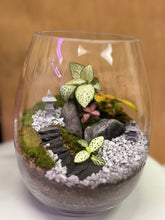 Load image into Gallery viewer, DIY Terrarium Kit