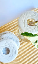 Load image into Gallery viewer, Close up of Propagation Disks