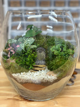 Load image into Gallery viewer, Medium Terrarium