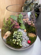 Load image into Gallery viewer, Large Terrarium