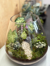 Load image into Gallery viewer, Large Terrarium