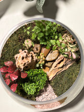 Load image into Gallery viewer, Terrarium Workshop
