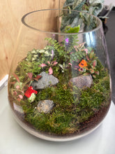 Load image into Gallery viewer, Large Terrarium