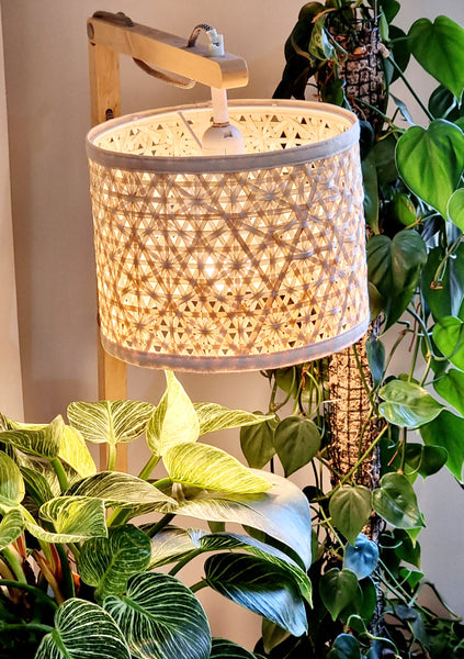 Shining a light on Stylish Plant Parenting