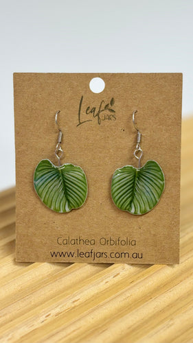 Calathea Orbifolia Leaf Earrings