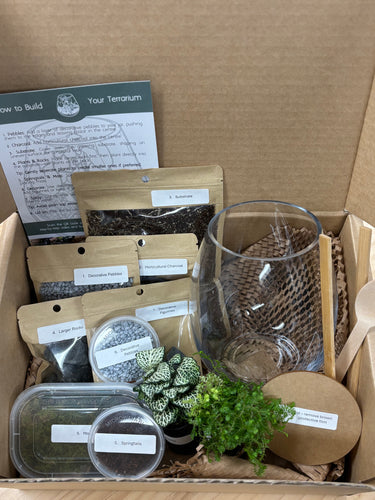 Terrarium kit with plants, containers, and instructions in a cardboard box.