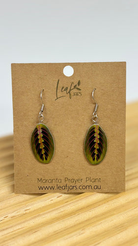 Maranta Prayer Plant Leaf Earrings sitting on timber board