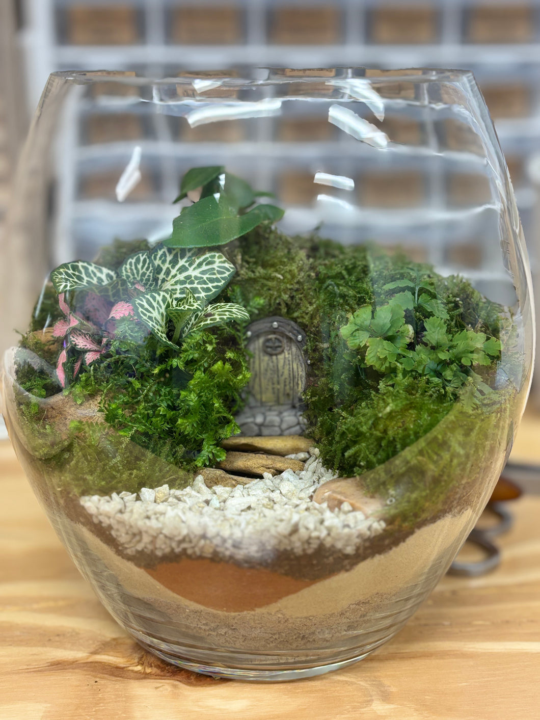 Medium Terrarium