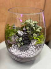 Load image into Gallery viewer, Terrarium with plants, rocks, and pebbles inside a glass container.
