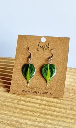 Philodendron Brasil Leaf Earrings on timber board