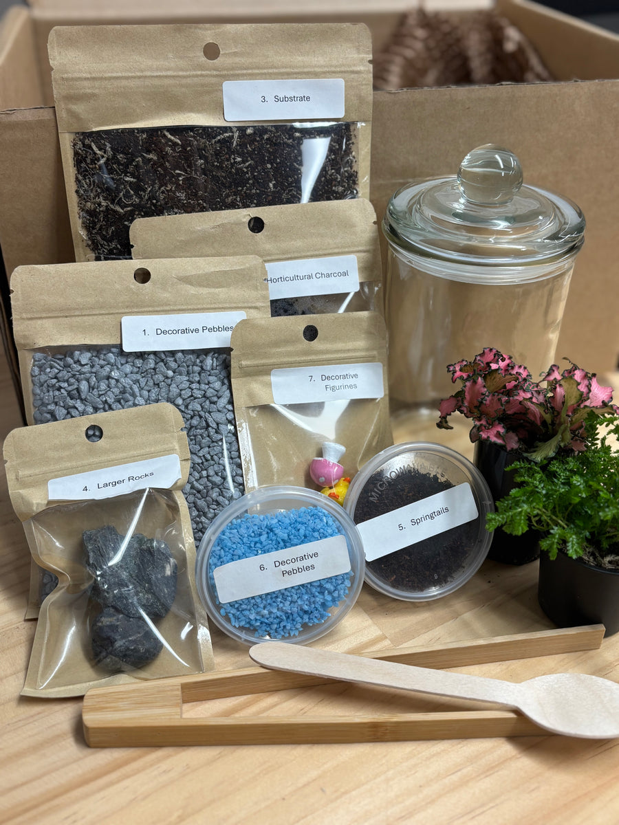 Terrarium Contents, including glass jar, pebbles, substrate, plants and utensils on a timber bench.
