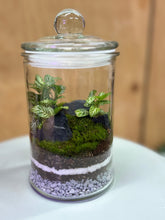 Load image into Gallery viewer, Greenery Terrarium sitting on small table.
