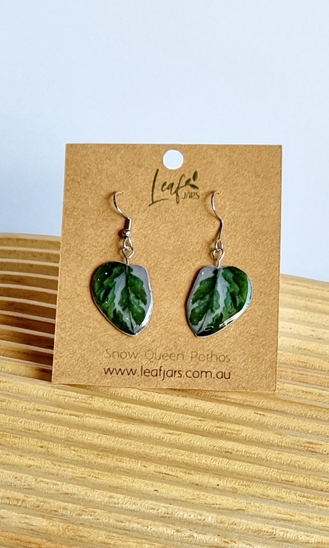 Snow Queen Pothos Leaf Earrings on timber board