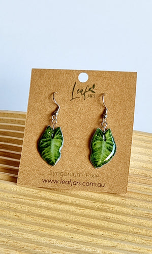 Syngonium Pixie Leaf Earrings on timber board