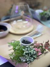 Load image into Gallery viewer, Terrarium Workshop Gift Card
