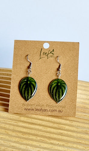 Watermelon Peperomia Leaf Earrings on timber board