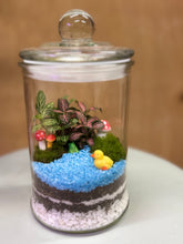Load image into Gallery viewer, Small Pond Terrarium with pink and green plants, mini mushrooms, frog and a duck.
