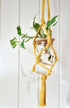 Load image into Gallery viewer, Mustard coloured Macrame Hanger
